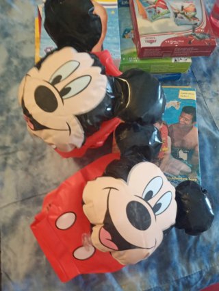 Lote de 6 frotadores  Disney 5€ cada uno