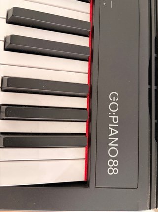 Piano Eléctrico Roland GO:PIANO88