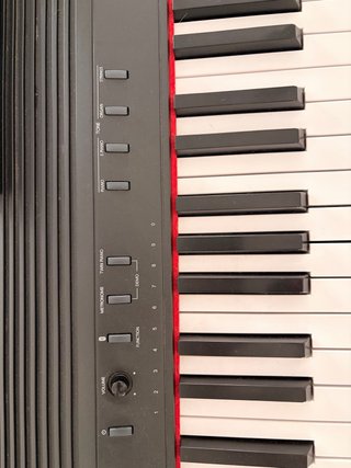 Piano Eléctrico Roland GO:PIANO88