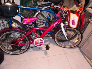 Bicicleta infantil 20 6V niña