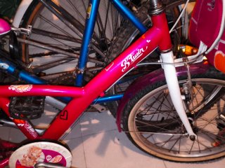Bicicleta infantil 20 6V niña