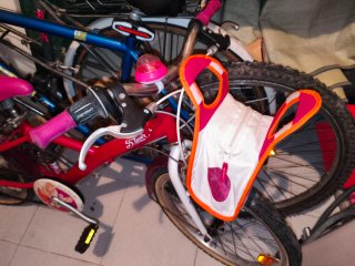 Bicicleta infantil 20 6V niña