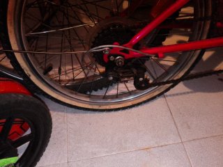 Bicicleta infantil 20 6V niña