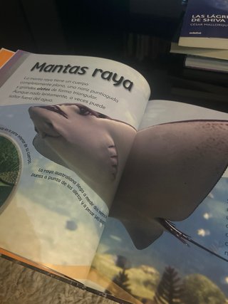 El cangrejo ermitaño y otras criaturas del fond...