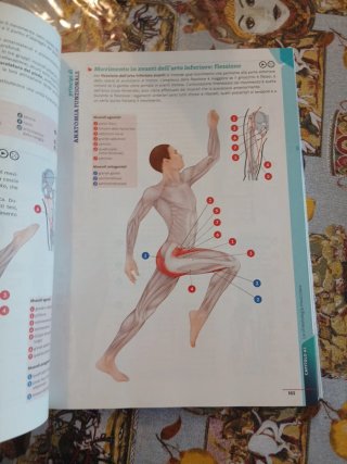 Tempo di sport. Idee per generare competenze, b...