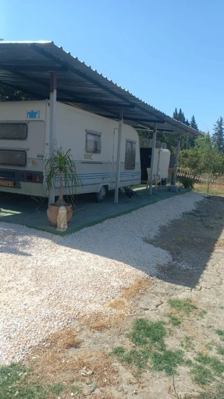 Alquiler