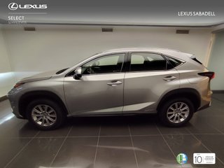 Lexus NX300H BUSINESS NAVI 2018 REF 7589