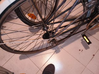Bicicleta BH Gacela