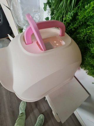 Box sabbia per animali