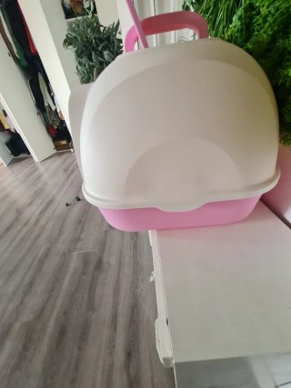 Box sabbia per animali