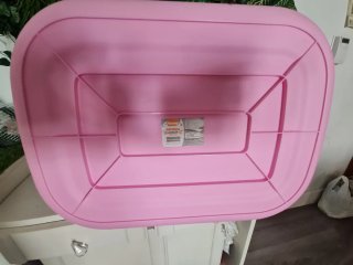 Box sabbia per animali