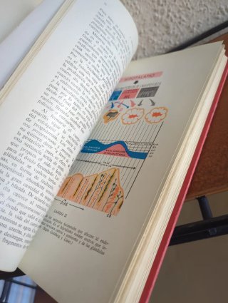 Libro antiguo 1963 Obstetricia para Matronas