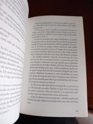 La leyenda del rey errante