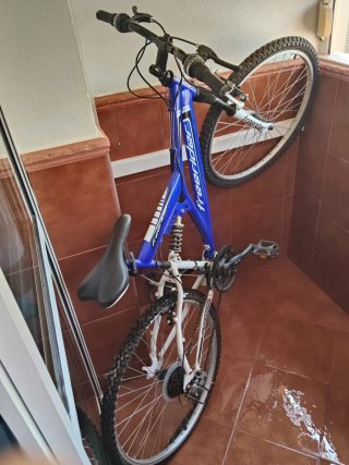 Bicicleta Freerider Azul