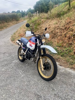 Honda XL 600 con motor Dominator 650
