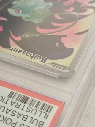 Pokemon Bulbasaur Illustration Rare MEG IT 2025