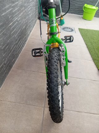 Bicicleta infantil 16 pulgadas