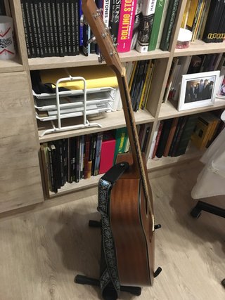 Guitarra Acústica Takamine
