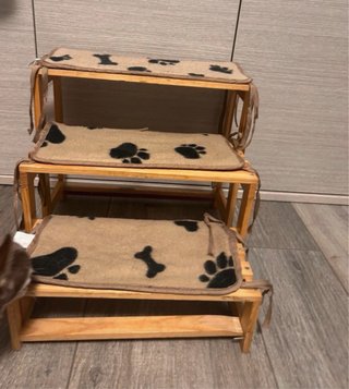 Scaletta per cani e gatti, come nuova