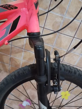 Bicicleta niña rosa Monty 20 pulgadas