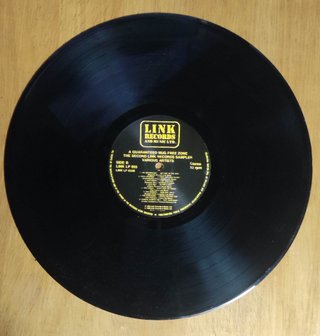 LP Link Records - A Guaranteed Mug Free Zone