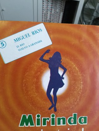 Lote Singles vinilo variado