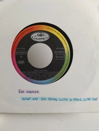 Lote Singles vinilo variado
