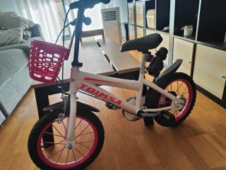 Bicicleta infantil 3-6 años