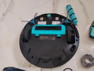 Conga cecotet