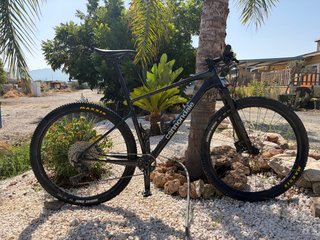 Bicicleta MTB Cannondale 29
