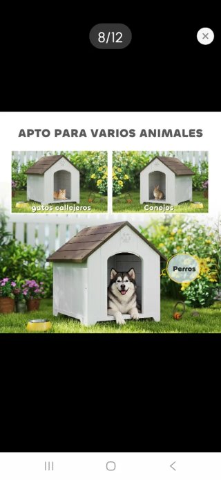 Caseta para perro