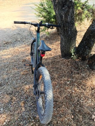 Bicicleta Montaña Niño 20 Trek