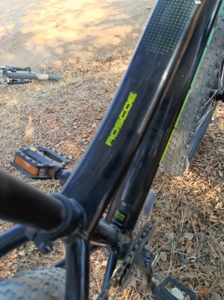 Bicicleta Montaña Niño 20 Trek