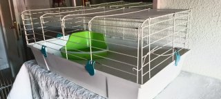 Jaula Conejo/Roedor con Comedero Verde