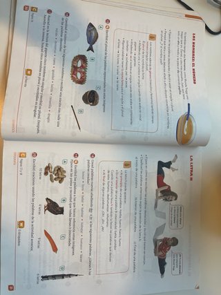 Lengua castellana, Primaria, ciclo superior 5o