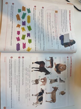 Lengua castellana, Primaria, ciclo superior 5o