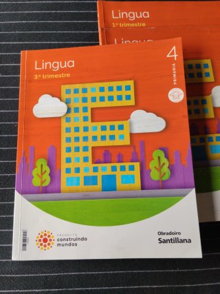 Lote libros 4 primaria