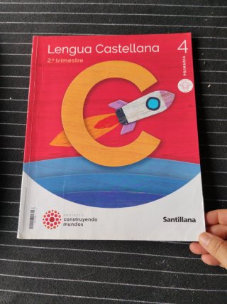 Lote libros 4 primaria