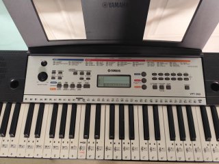 Teclado Yamaha YPT-260
