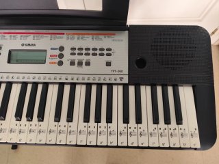 Teclado Yamaha YPT-260