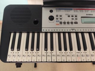 Teclado Yamaha YPT-260