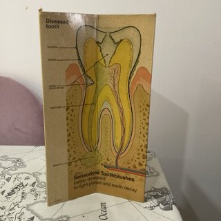 Expositor 3D Vintage Sensodyne Dientes Sensibles