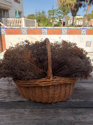 Cesto de flores secas