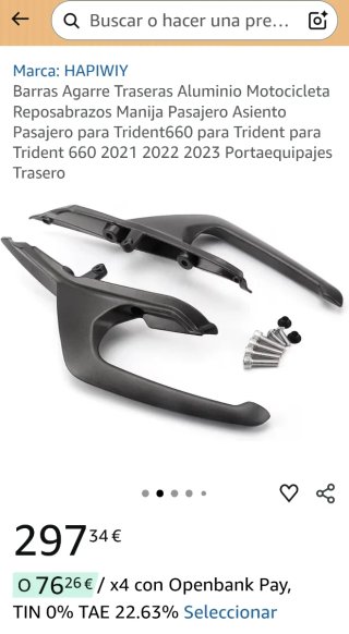 Barras de agarre trasero para moto Triumph 660