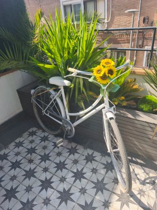 Bicicleta de paseo decorativa