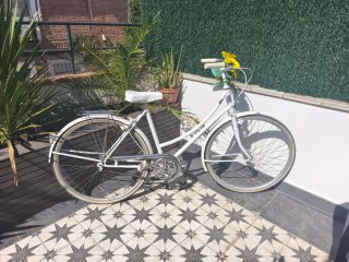 Bicicleta de paseo decorativa