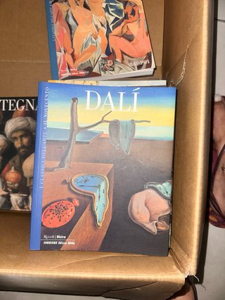 Libro Salvador Dalì