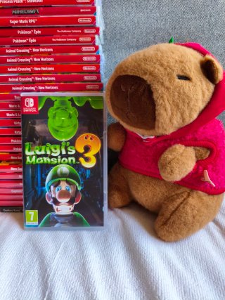 Luigi's Mansion 3 Nintendo Switch