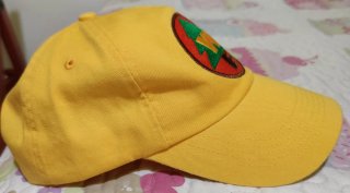 Gorra Disney UP