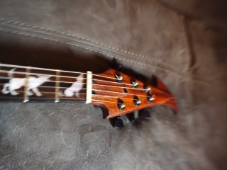 Guitarra Eléctrica Explorer Madera